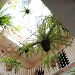  招待所 Cordoba